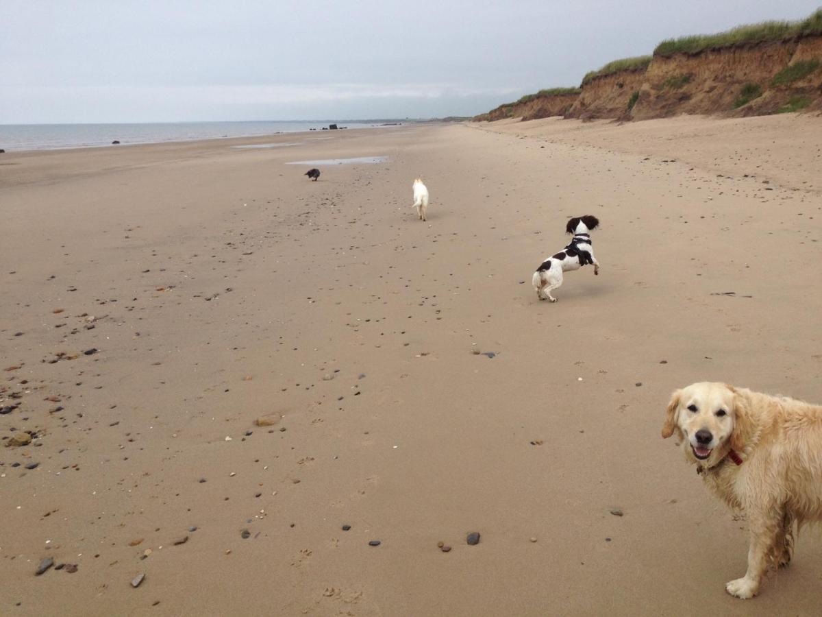 Luxury Dog Friendly Cottage Sleeps 4 Bridlington Exterior photo